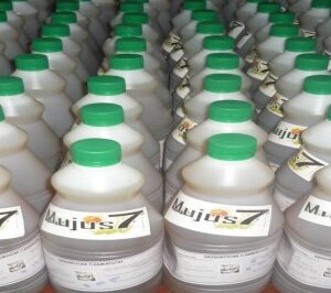 Mushroom Juice (MUJUS7)