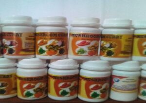 Mushroom Curry Powder (50g)