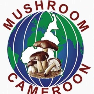 Mushroom Cameroon